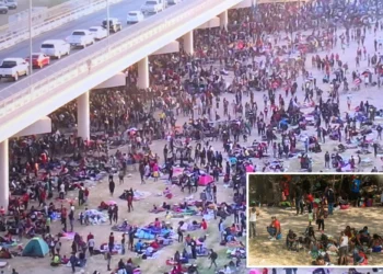 Todd Bensman: Biden Regime Suppressing Photos Exposing Truth On The Southern Border