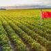 White House Secretly Set Up ‘Agriculture Working Group’ With Chinese Communist Party For Farmland & Food Supply Cooperation.