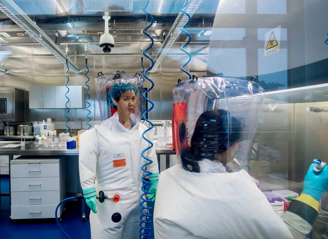 The US Government and the Wall Street Journal Discover that the CCP Lied about Covid