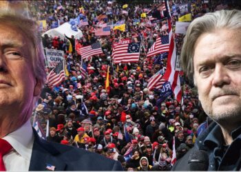 Bannon’s WarRoom, Show Clip Roundup 6/22/2024 [SATURDAY]