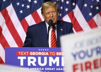 How Georgia Was Stolen