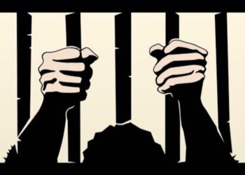 Naomi Wolf Urges Vigilance in Community Organizing over Steve Bannon’s Political Suppression