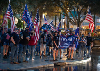 How to do it: Urgent Call to Clean Voter Rolls and Expose Illegal Voting—Your Voice Matters! Linda Szynkowicz Explains
