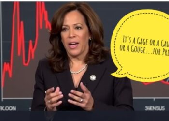 Kamala Harris’s Economic Blunders: The Irony of Price ‘Gauging’ and Inflation Fallout