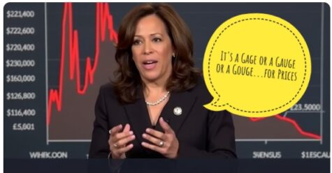 Kamala Harris’s Economic Blunders: The Irony of Price ‘Gauging’ and Inflation Fallout