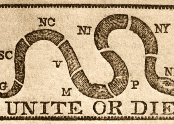 Republicans Need to Vote GOP or be Rebuked:  Time to Flush Out the Fake Republicans and Reclaim America First, Gina Swoboda