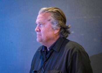 Bannon’s WarRoom, Show Clip Roundup 8/20/2024 [PM]