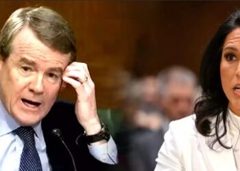 After Action Report: The Mask Slips – Bannon Slams Senator Bennet’s Show Trial of Tulsi Gabbard