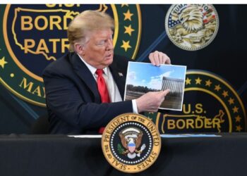 Trump’s Immigration Crackdown Delivers Results, While Congress Sleeps