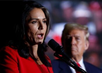 The Coup They Buried: Tulsi Gabbard Detonates Obama’s Intelligence Hoax