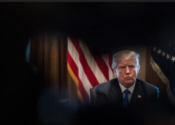 Bannon Exposes the Crybaby Media: Petty, Vindictive, and Desperate to Undercut Trump