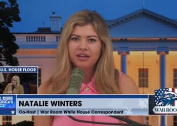 Natalie Winters speaking on WarRoom, exposing Silicon Valley progressives, the H1B scam, and Sam Altman’s tech ideology.