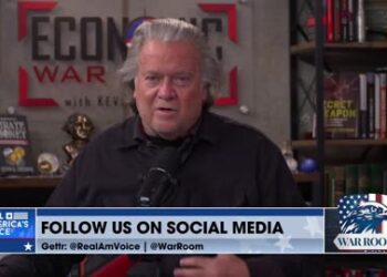 BLOOMBERG ATTACKS TULSI