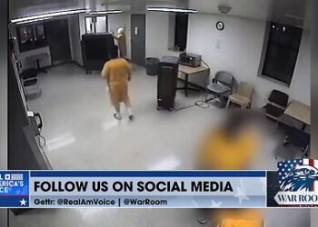 Steve Bannon and Apollo Pappas discuss leaked prison footage involving Tina Peters on War Room