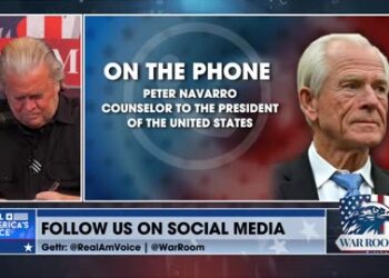 Peter Navarro discussing credit card interest rates on WarRoom